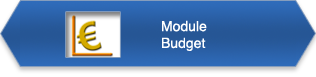 Module Budget